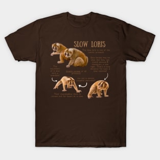 Slow Loris - Animal Facts T-Shirt